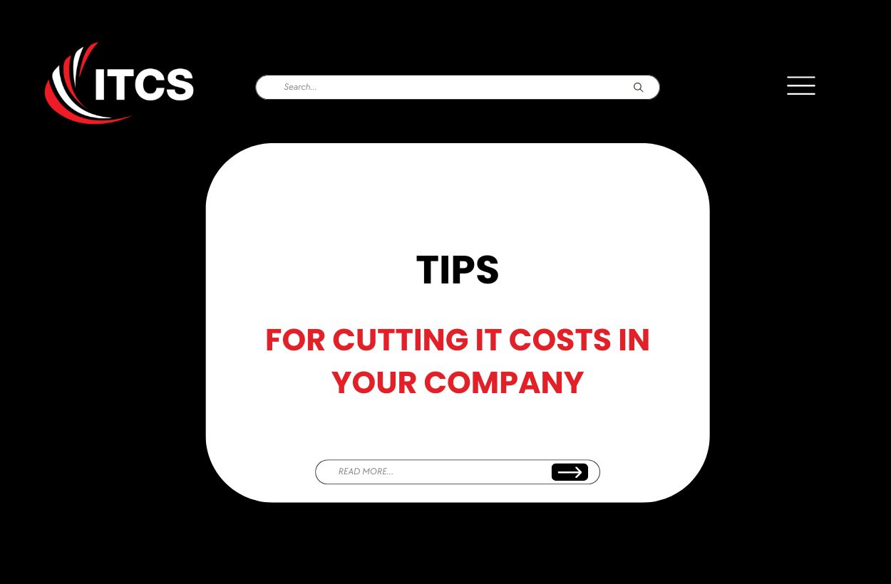 TIPS FOR CUTTING IT COSTS IN YOUR COMPANY