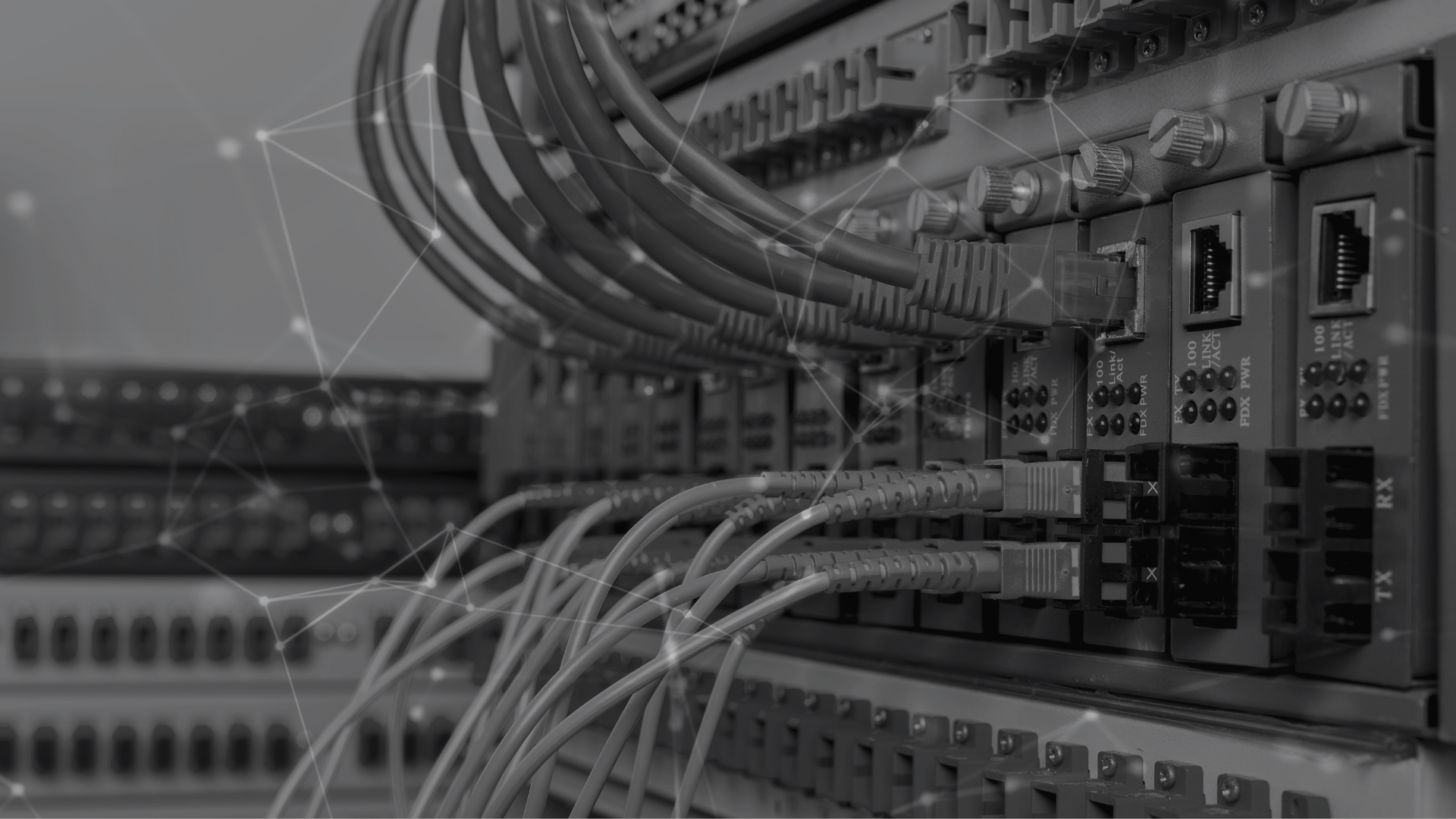 Network cables